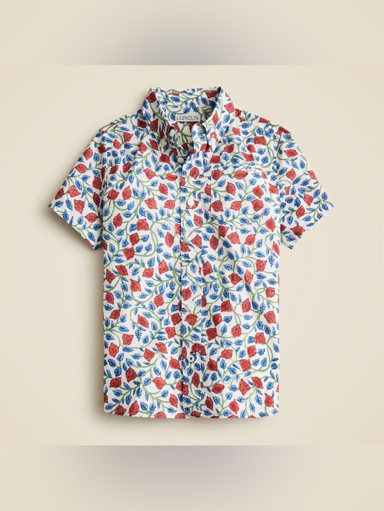 J. Crew Other - J. Crew Crewcuts Poplin Button Down Shirt